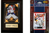 C & I Collectables 10HABSFP NHL Montreal Canadiens Fan Pack