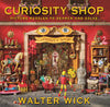 Curiosity Shop: Picture Puzzles to Search and Solve - Walter Wick - Bound to Stay Bound Books