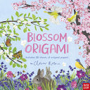 Blossom Origami - Nick Robinson - Nosy Crow