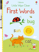 Little Wipe-Clean First Words - Felicity Brooks - Usborne Books