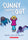 Sunny Figures It Out: A Graphic Novel (Sunny #6): Volume 6 - Jennifer L Holm - Graphix
