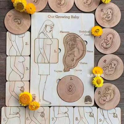 Sensuality Emporium - Montessori Puzzle Children's Educational Human Anatomy Science Animal Planet 3 To 6 Years Old Wooden Multi-layer Puzzle Toy
