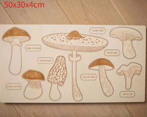 Sensuality Emporium - Montessori Puzzle Children's Educational Human Anatomy Science Animal Planet 3 To 6 Years Old Wooden Multi-layer Puzzle Toy