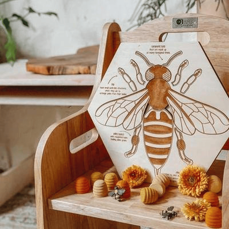 Sensuality Emporium - Montessori Puzzle Children's Educational Human Anatomy Science Animal Planet 3 To 6 Years Old Wooden Multi-layer Puzzle Toy