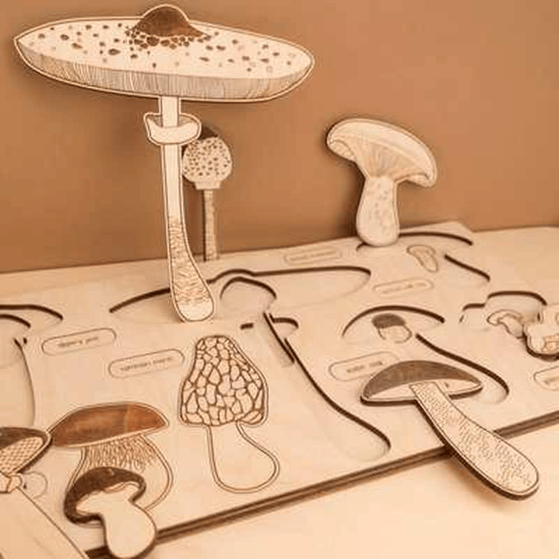 Sensuality Emporium - Montessori Puzzle Children's Educational Human Anatomy Science Animal Planet 3 To 6 Years Old Wooden Multi-layer Puzzle Toy