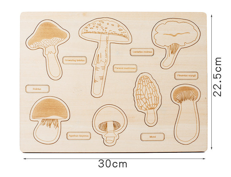 Sensuality Emporium - Montessori Puzzle Children's Educational Human Anatomy Science Animal Planet 3 To 6 Years Old Wooden Multi-layer Puzzle Toy