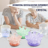 oh my god - Children's Hot Selling Crystal Planting Science Experiment Toys