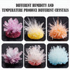 oh my god - Children's Hot Selling Crystal Planting Science Experiment Toys