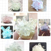 oh my god - Children's Hot Selling Crystal Planting Science Experiment Toys