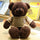 YYDS - Teddy Bear Plush Dolls Baby Cute Animal Dolls Soft Cotton Stuffed Home Soft Toys Sleeping Stuffed Toys Gift Kawaii