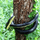 The Perfect Part - Fake Realistic Snake Lifelike Real Scary Rubber Toy Prank Party Joke For Garden