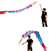 DSJUGGLING - 3 Meters (9.8 FT) Golden Scale Silk Dragon POI Outdoor Flinging Wind Spinners & Fitness Dragon Dance Wu Long 3D dragon Ribbon Streamer with Fiberglass Handstick + Travel Bag!