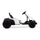 FX070 - Electric GoKart Pro, Kids Racing Car, Outdoor Ride On Toy with MP3 for Kids Aged 4-16, Black and White