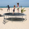 Wellstock - Trampoline Ladder