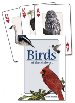 Adventure Publications AP32857 Birds of the Midwest Playing Cards