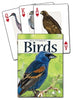 Adventure Publications AP33618 Birds of the Southwest Playing Cards
