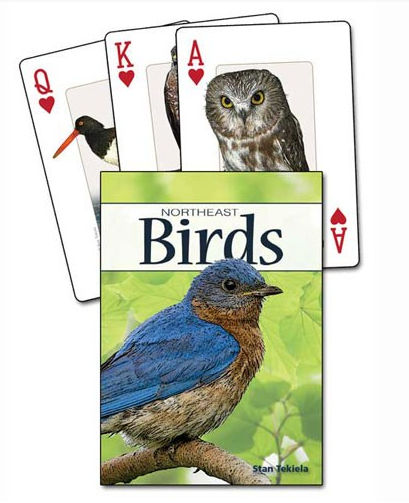 Adventure Publications Inc. AP33854 Birds of the Northeast Playing Cards