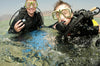 Great American Days SSI-NAT-066 Introduction to Diving