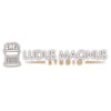 Ludus Magnus Studios -  The Breach: Erebus Expansion