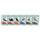 Stonemaier Games -  Wingspan: Fan-Designed Packs (Set 1) (6Ct Display)