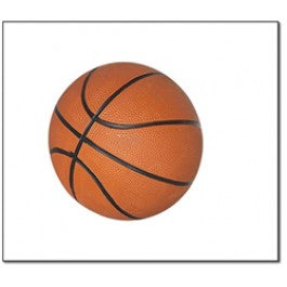 Blue Wave BG2213 7&amp;apos;&amp;apos; Mini Basketball