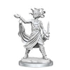 Wizkids - D&D Frameworks: Medusa (Fw2)