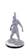 Wizkids - Pathfinder Deep Cuts Miniatures: Plague Zombie & Skeletal Champion