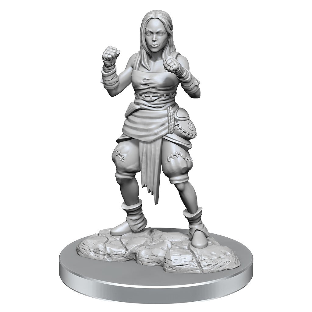 Wizkids - Pathfinder Deep Cuts: Half-Elf Monk Females