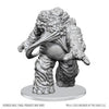 Wizkids - D&D Nolzur's Marvelous Miniatures: Eater Of Knowledge